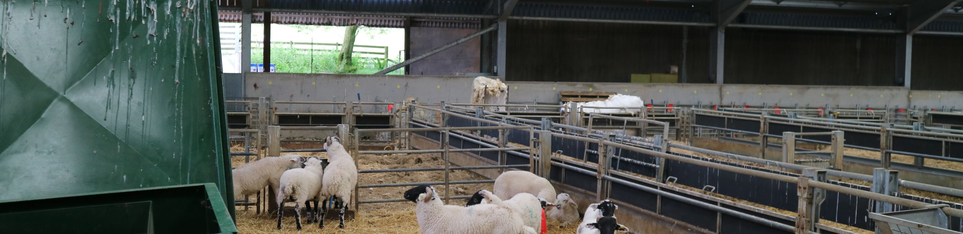 Ernest Cook ambassador 1_Megan Bartlett