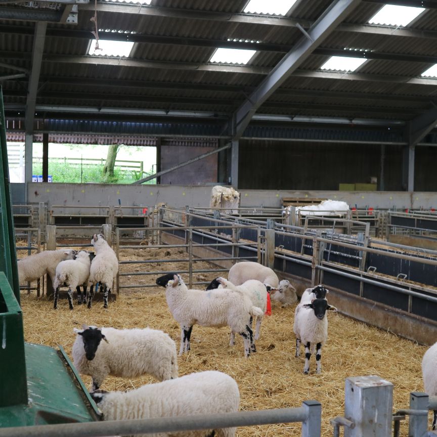 Ernest Cook ambassador 1_Megan Bartlett