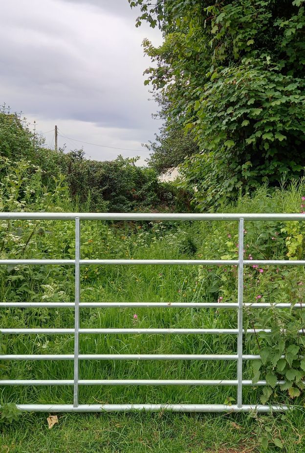 Gate TJ