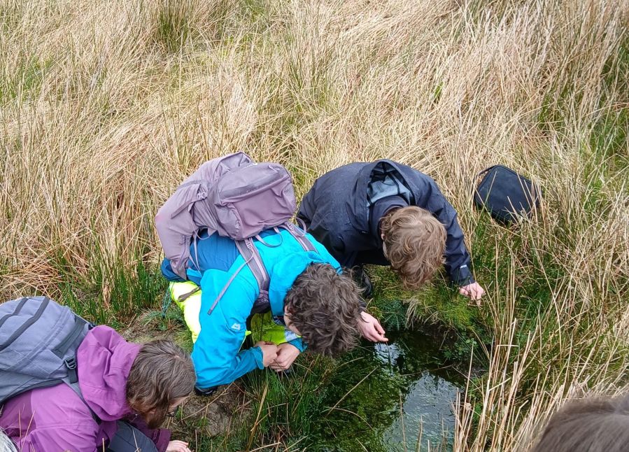 Wild garsdale pike 3