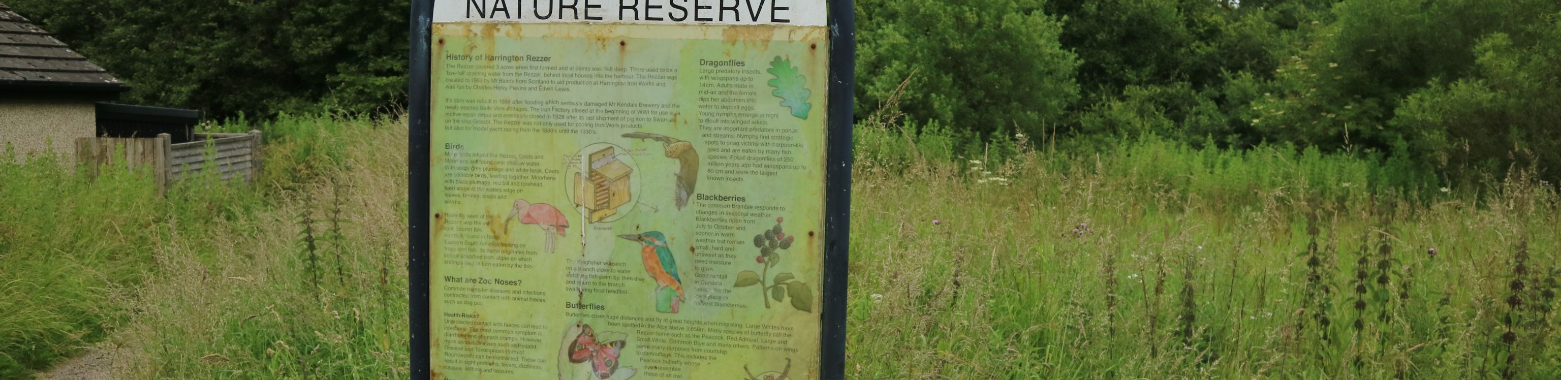 Workington nature partnership