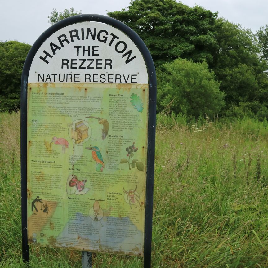 Workington nature partnership