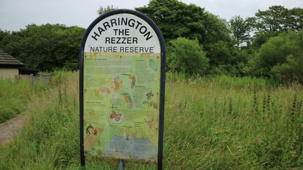Workington nature partnership