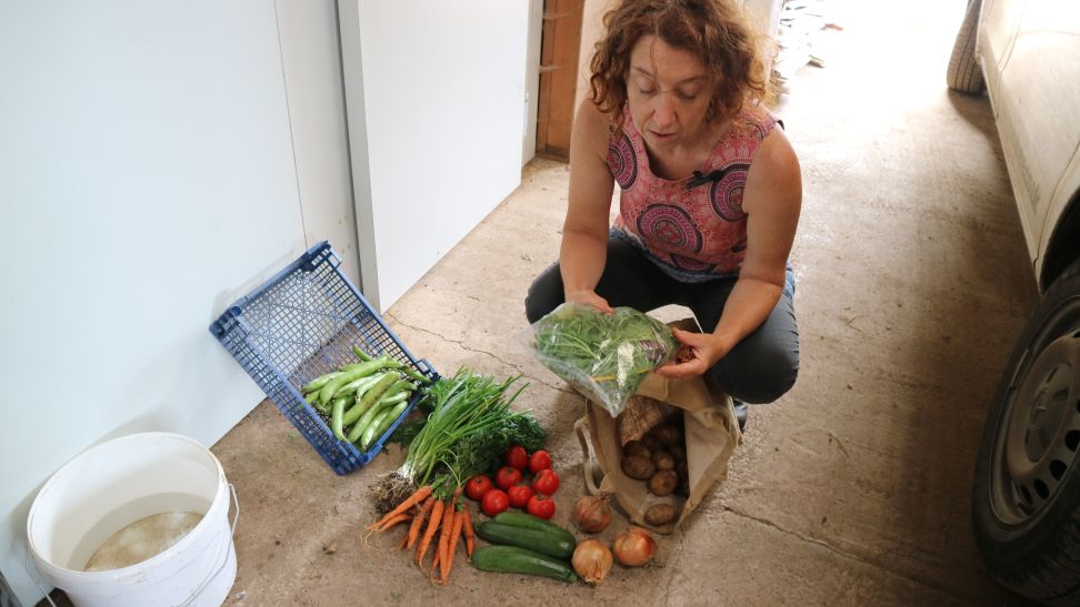 Vista veg megan bartlett 5