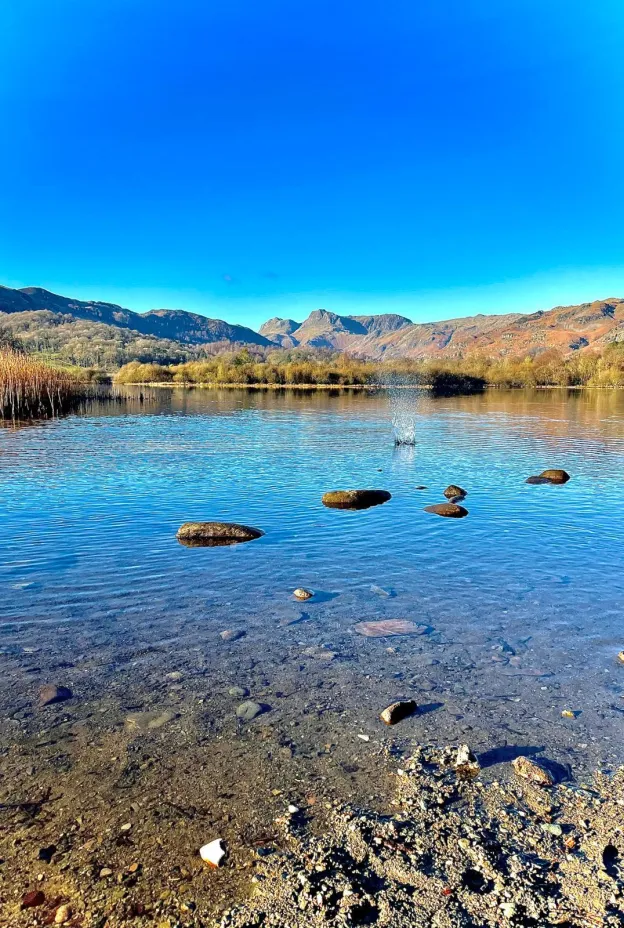 Lake Water_Megan Bartlett