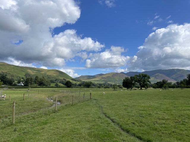 Fields Farm Sheep Mountains Lake District Background 1_Geneve Brand