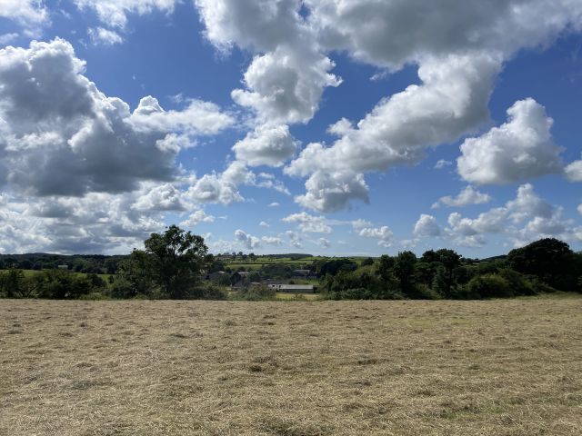 Fields Farm Background 5_Geneve Brand