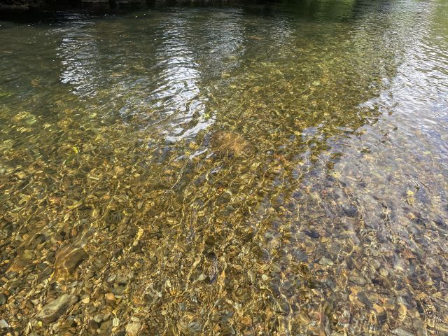 Water River Pebbles_Geneve Brand