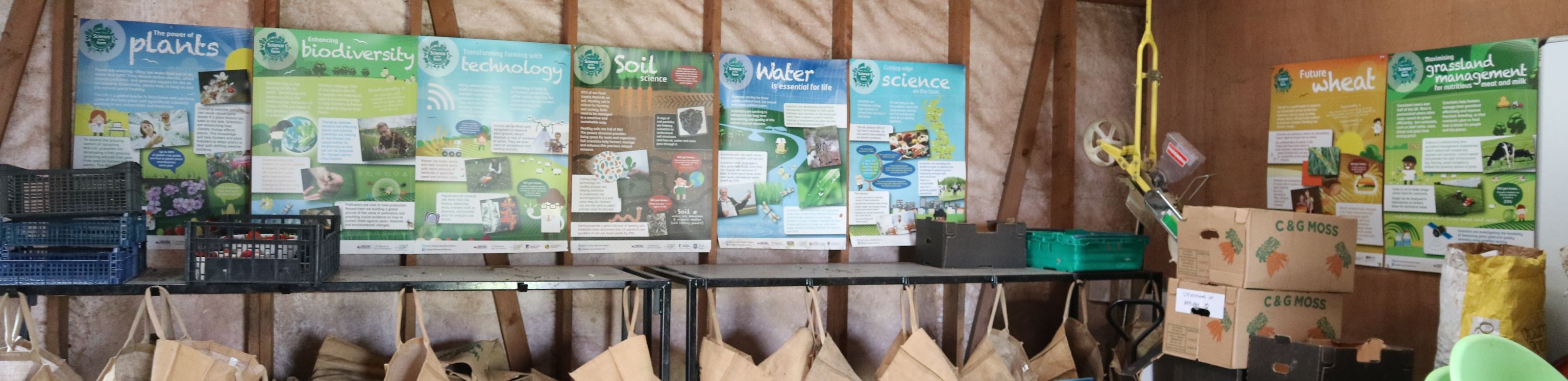 Vista Veg 1_Megan Bartlett