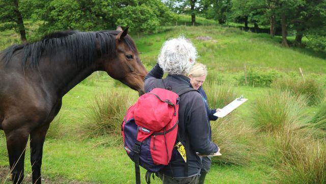 Horses People_Megan Bartlett