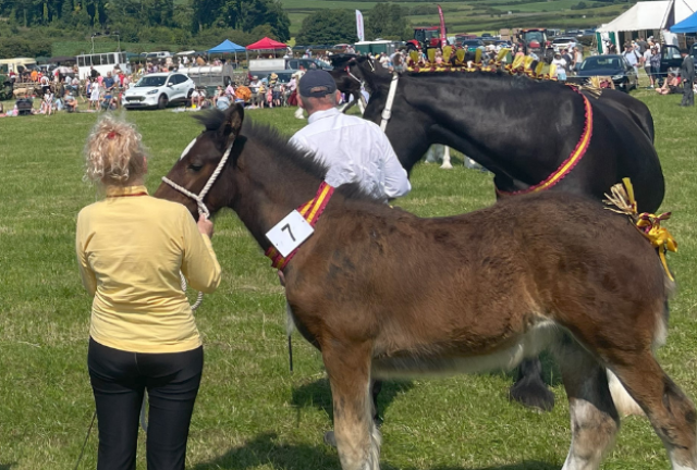 Horses UANL Show 2024_Megan Bartlett