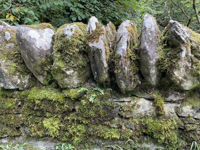 Dry stone wall Geneve Brand