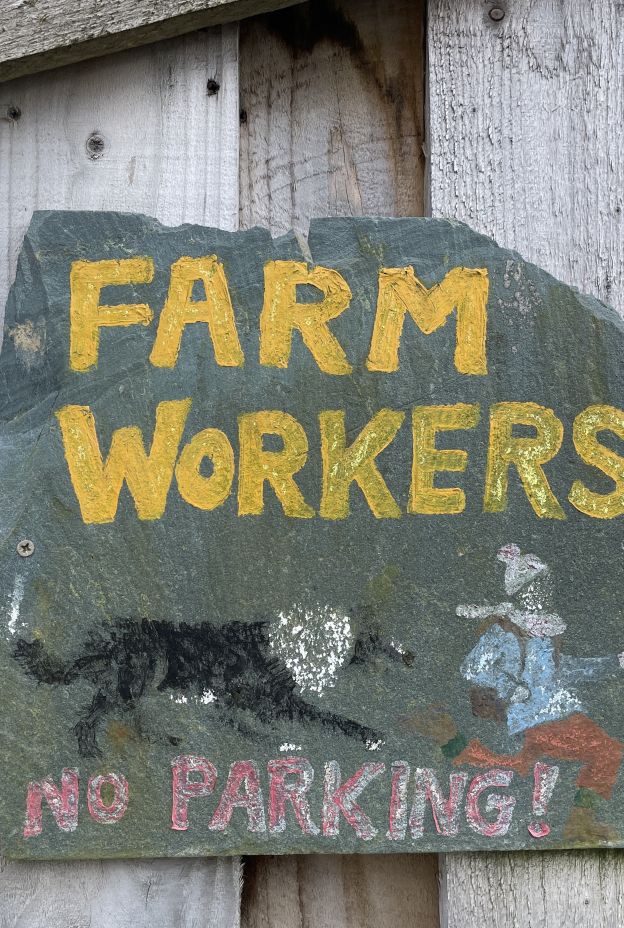 Farm Workers Sign Geneve Brand