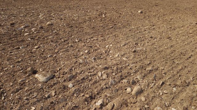 Ploughed Field 1 Tracey Jackson