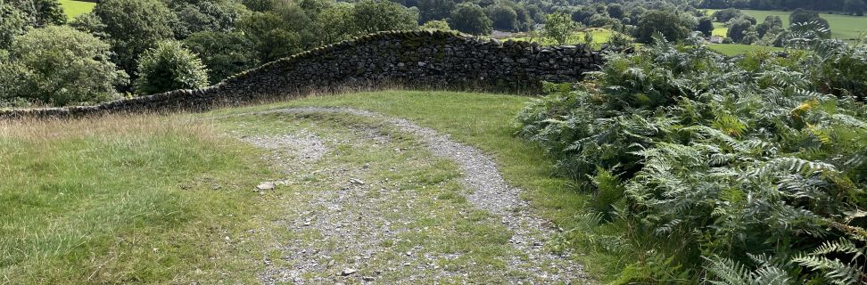 Path Track Geneve Brand