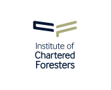 ICF Square Logo Full Color Large