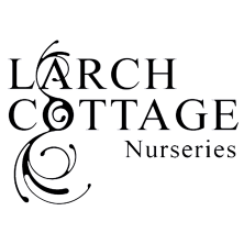 Larch Cottage