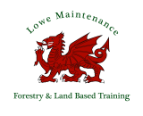 Lowe Maintenance