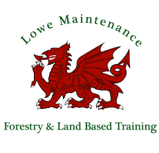Lowe Maintenance